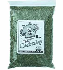 Nepeta cataria (catnip) is to be banned in the UK under the new  Psychoactive Substances Bill.