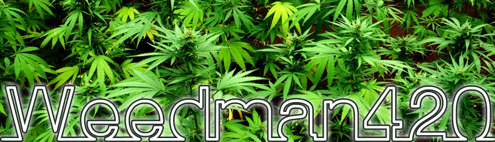 Weed Man 420